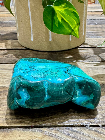 Malacholla // Free Form - SolRising The Rock Shop