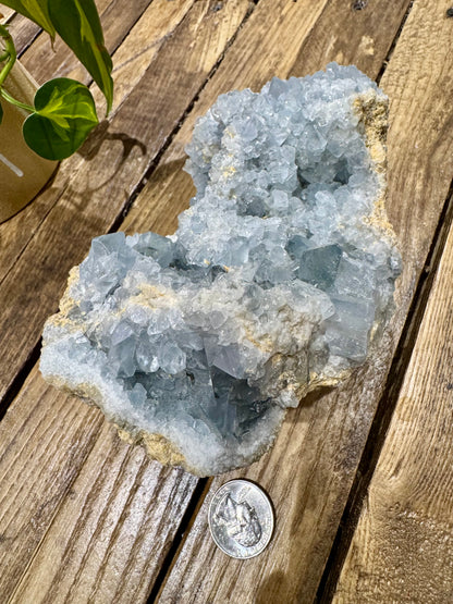 Celestite // Cluster - SolRising The Rock Shop