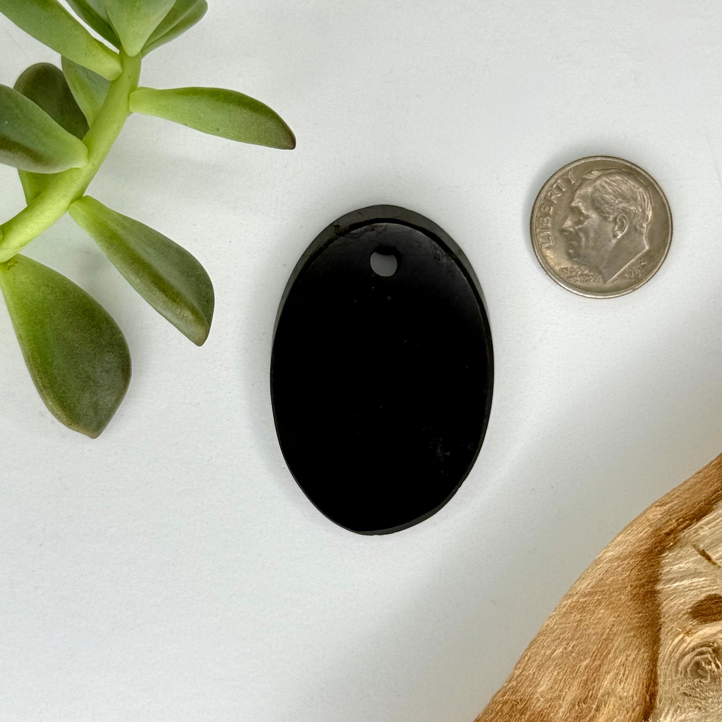 Shungite // Oval // Pendant