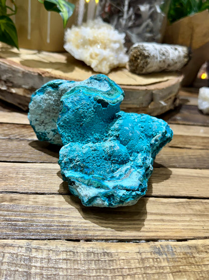 Malacholla // Mineral Specimen // Rough