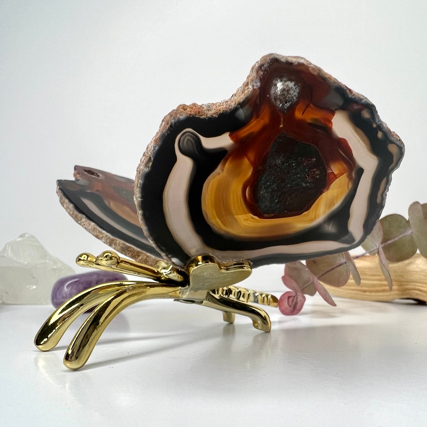 Agate // Butterfly