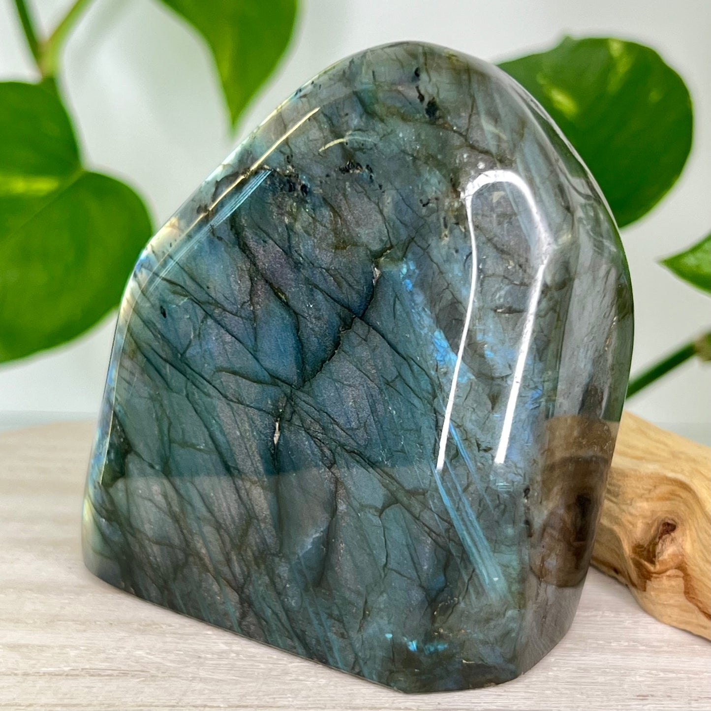 Labradorite // Free Form