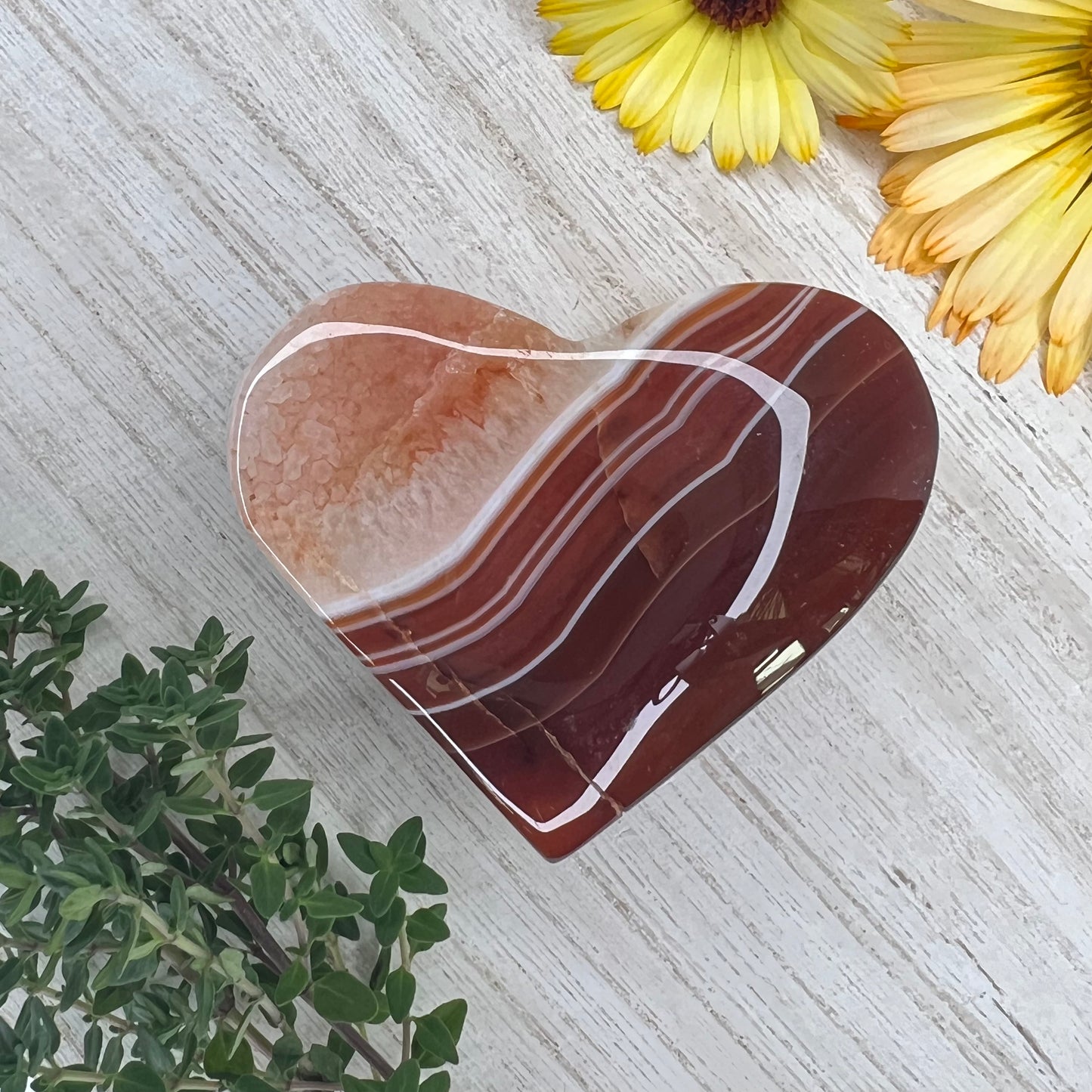 Carnelian // Banded // Heart