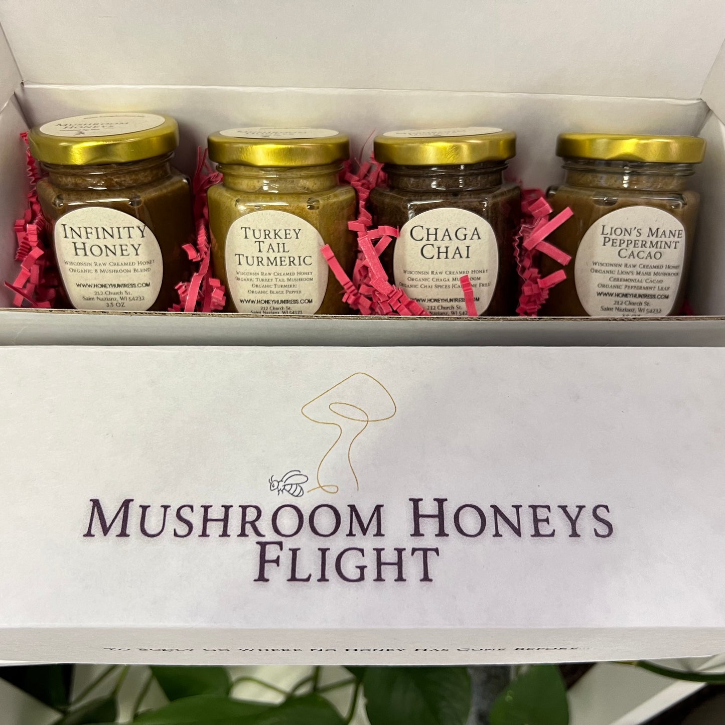 Mushroom Flights // Mushroom Honeys // Honey Hunteress