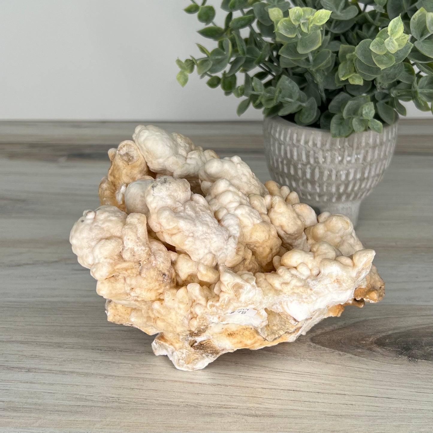 Aragonite // White // Cluster