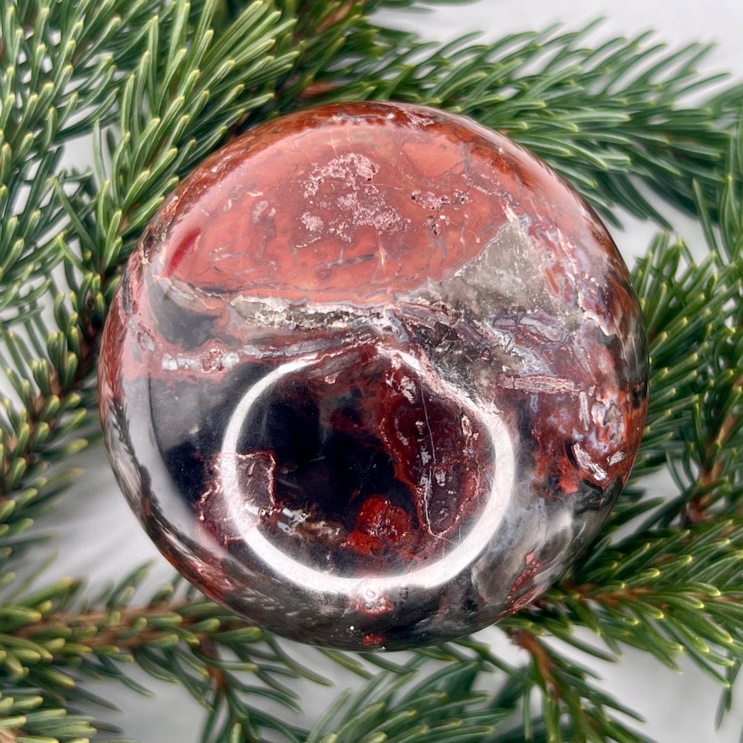 Petrified Wood // Sphere