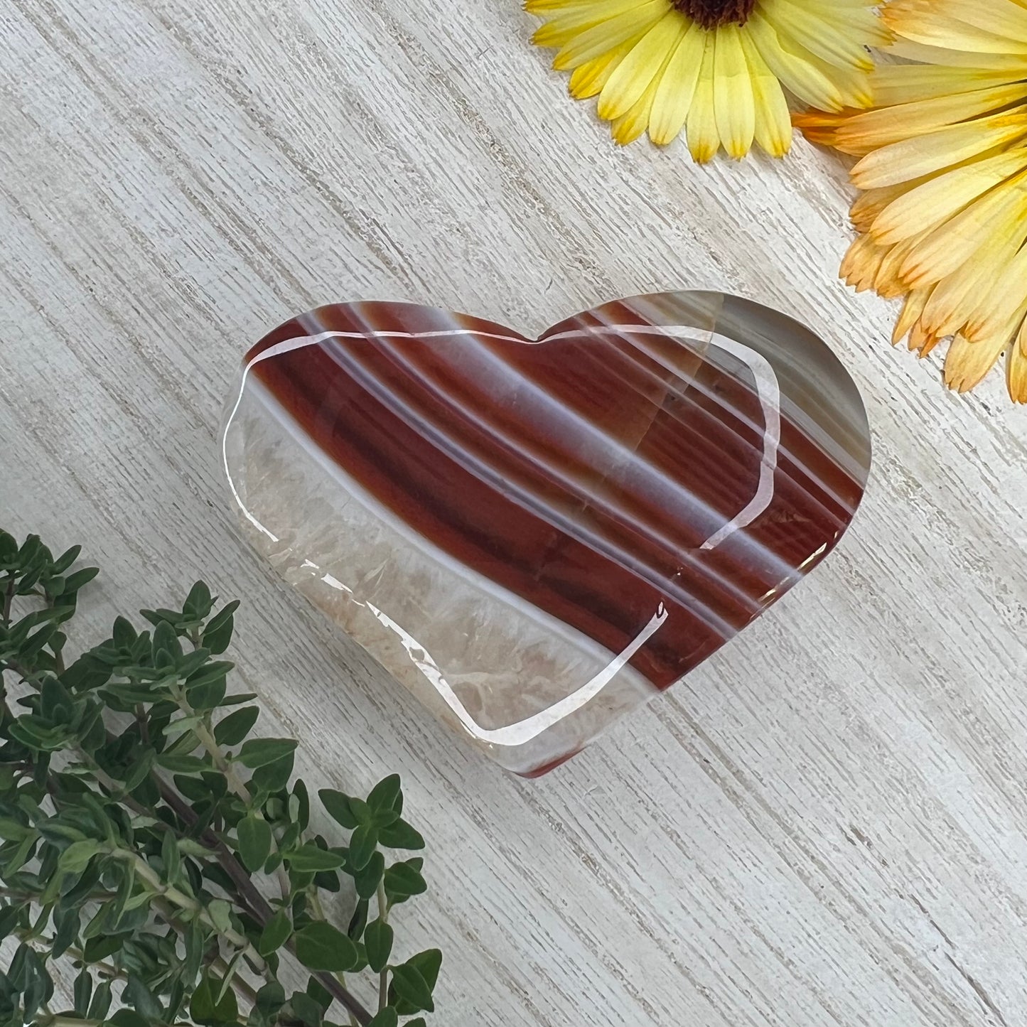 Carnelian // Banded // Heart