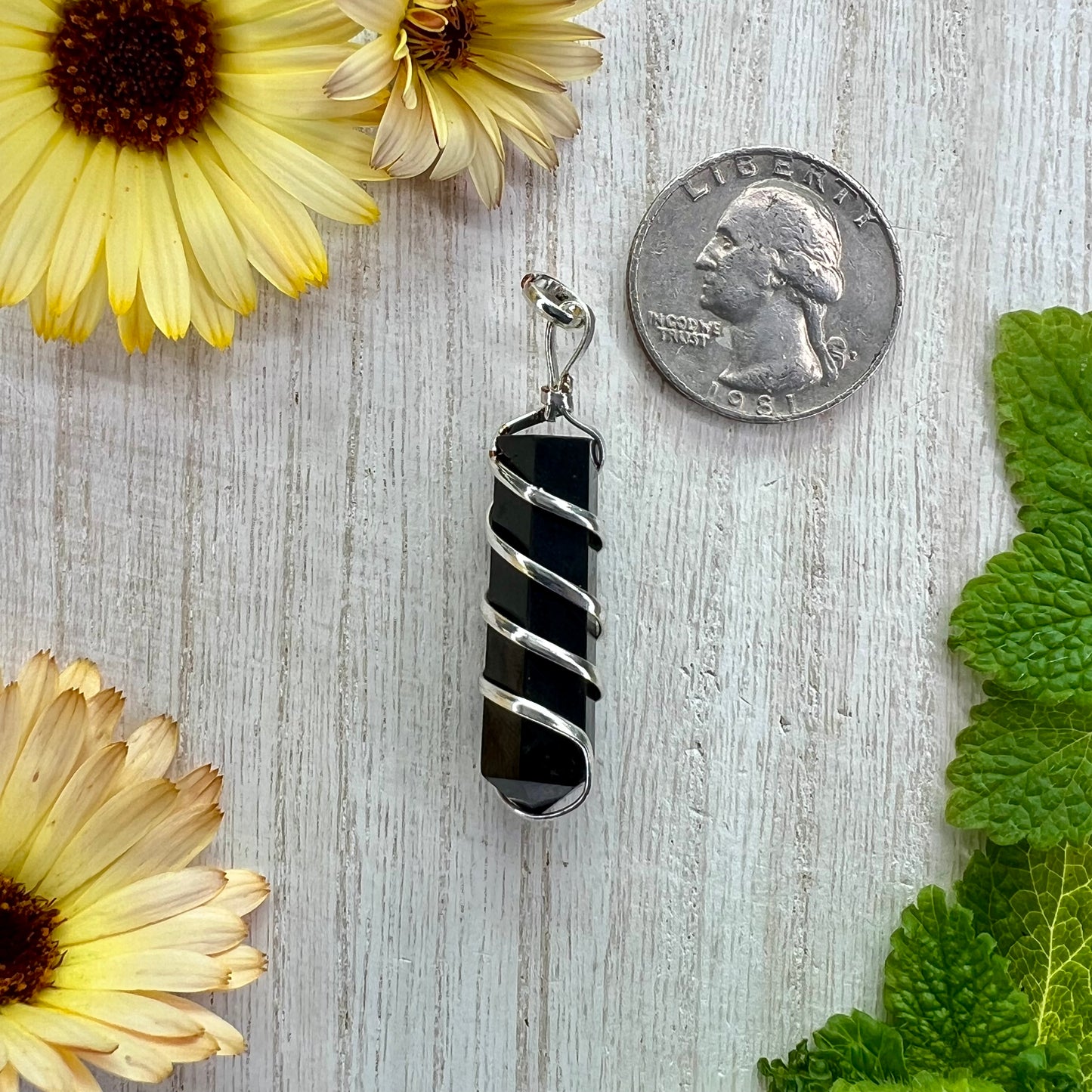 Shungite // Point // Pendant