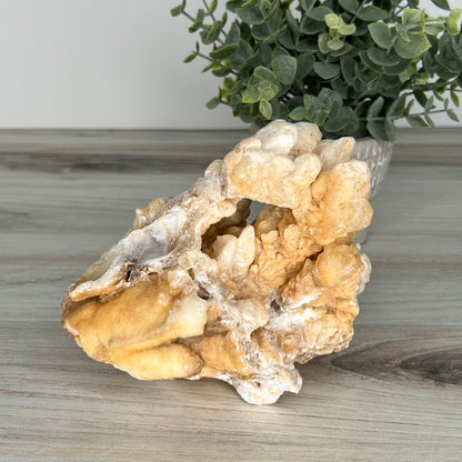 Aragonite // White // Cluster