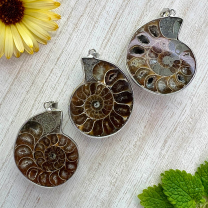 Ammonite // Half // Pendant