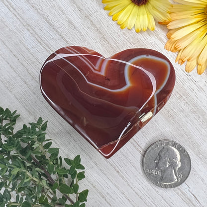 Carnelian // Banded // Heart