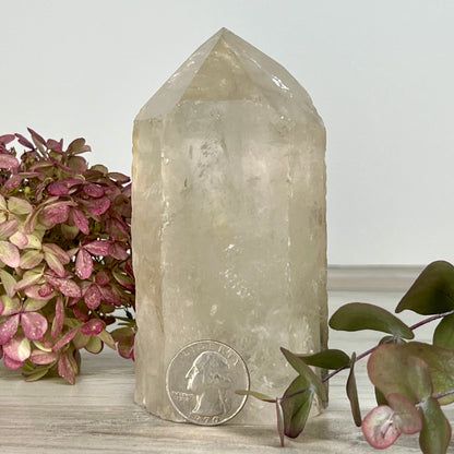 Quartz // Clear // Natural // Point