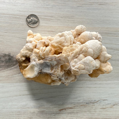 Aragonite // White // Cluster