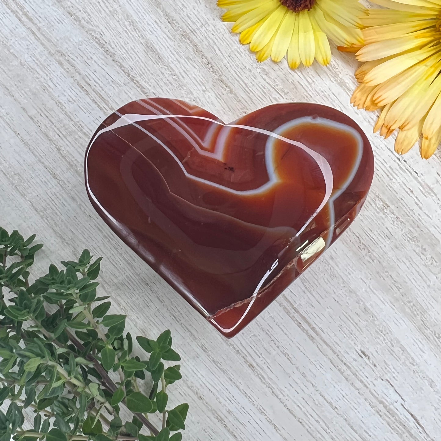 Carnelian // Banded // Heart