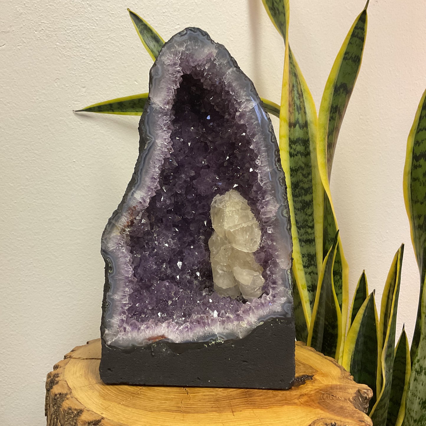 Amethyst // Cathedral // Large