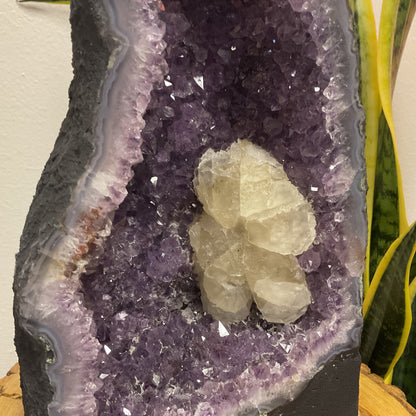 Amethyst // Cathedral // Large