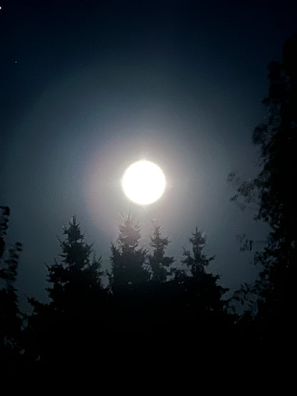 Returning to Alignment: An Aquarius Full Moon + Breathwork Journey