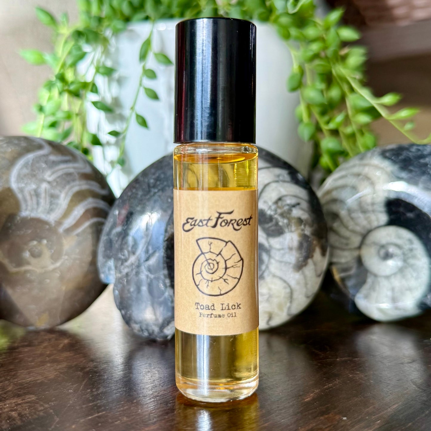 East Forest // Toad Lick // Perfume Oil