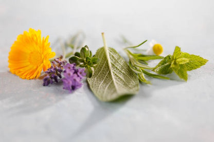 BACH Flower Essences // An Introduction