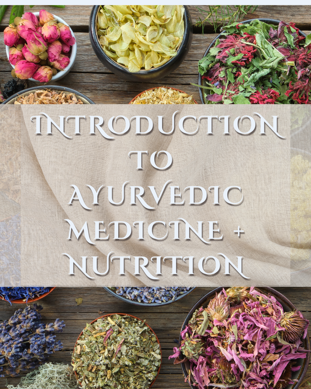 Introduction to Ayurvedic Medicine + Nutrition
