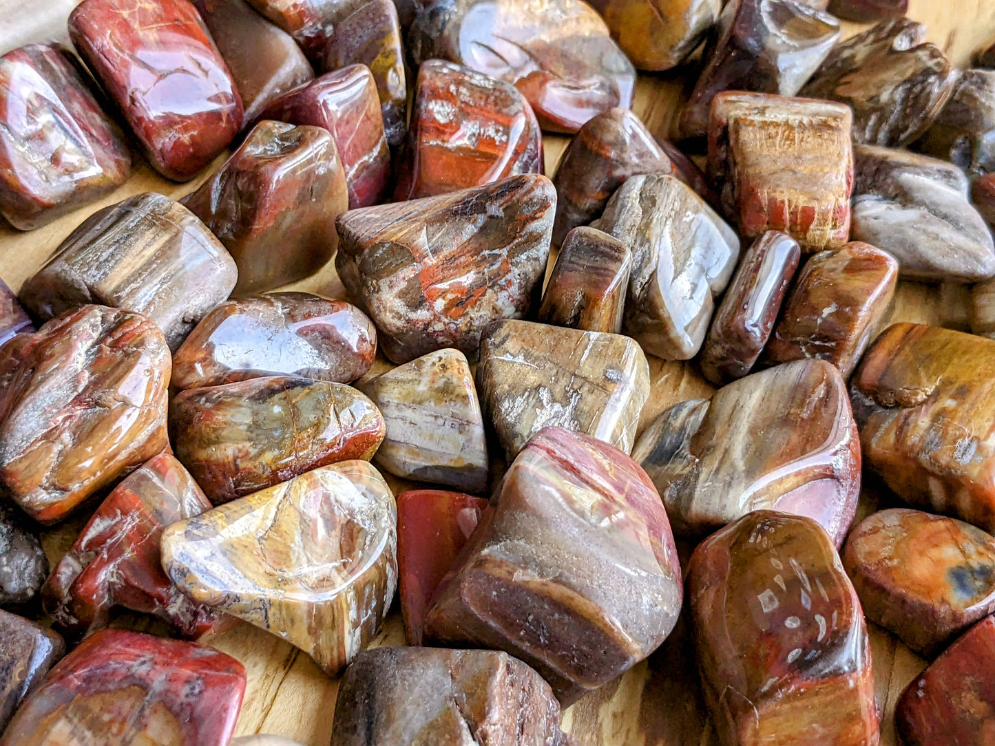 Petrified Wood, tumbled, polished, red, brown