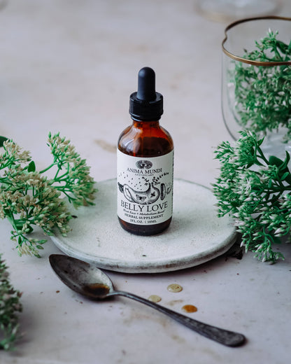 BELLY LOVE Tonic // Metabolism + Digestive Support