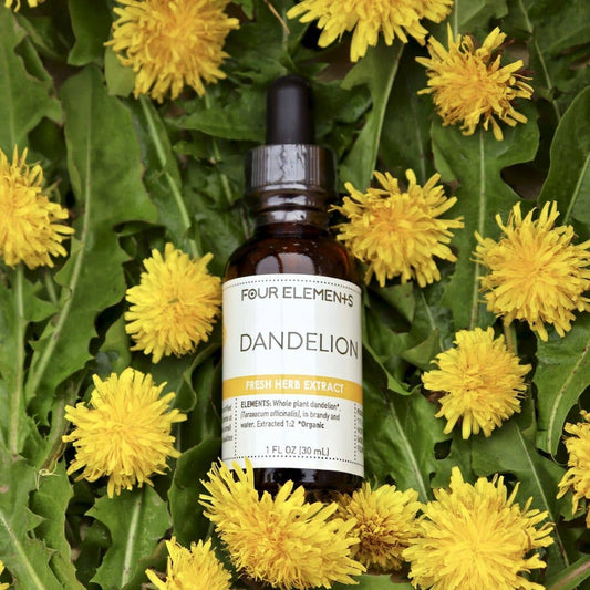 Dandelion Herb Tincture