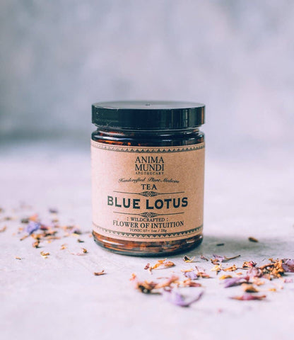 Blue Lotus Tea | Blossom of Intuition