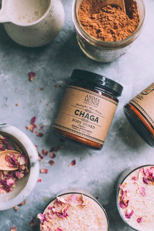 Chaga | Organic Mushroom Powder // Body Guard