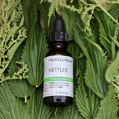 Nettles // Tincture // Four Elements