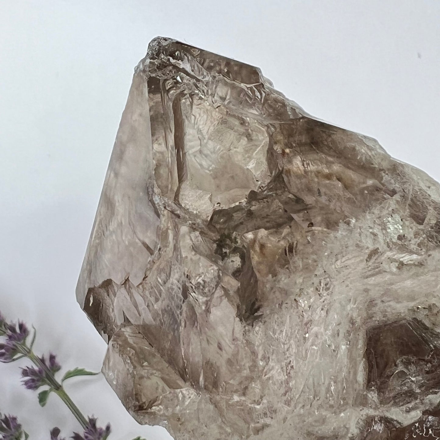 Smokey Quartz // Rough // Point