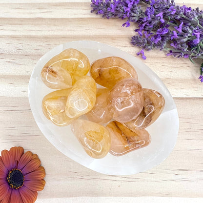 Selenite // Oval Dish // Accessory