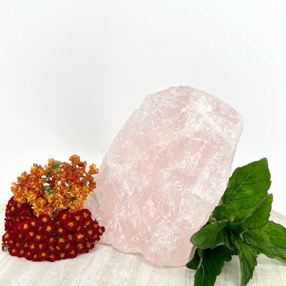 Rose Quartz // Rough // Natural // Mineral