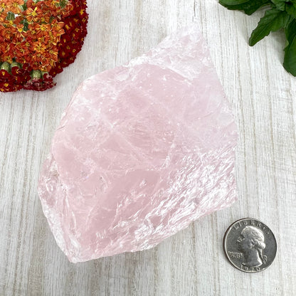 Rose Quartz // Rough // Natural // Mineral