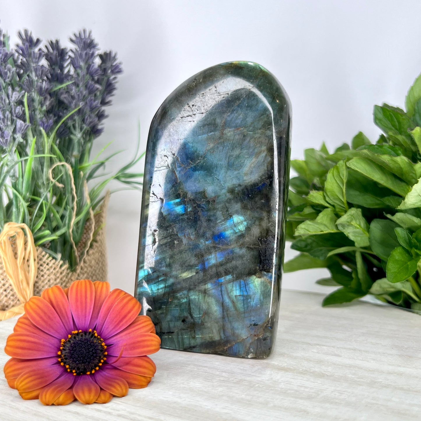 Labradorite // Free Form