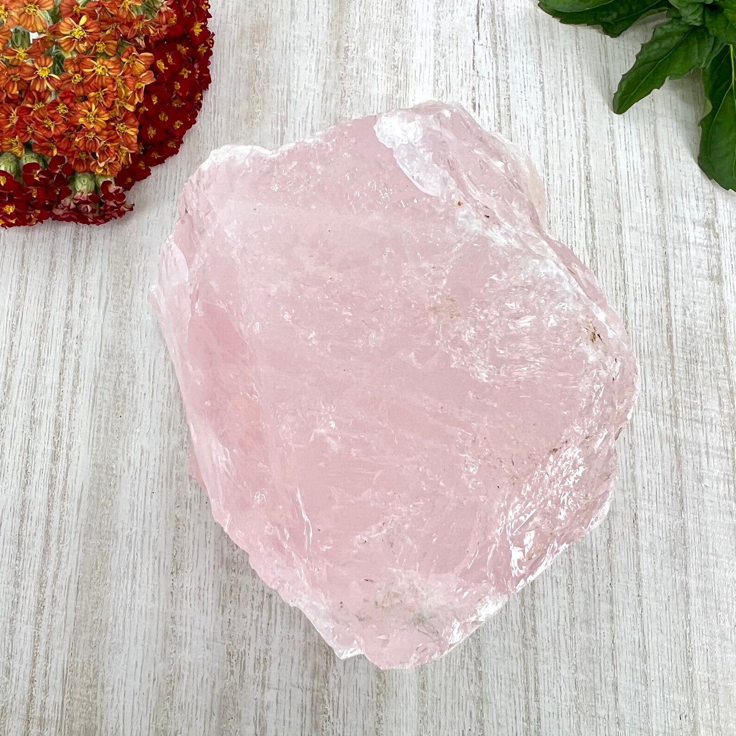 Rose Quartz // Rough // Natural // Mineral