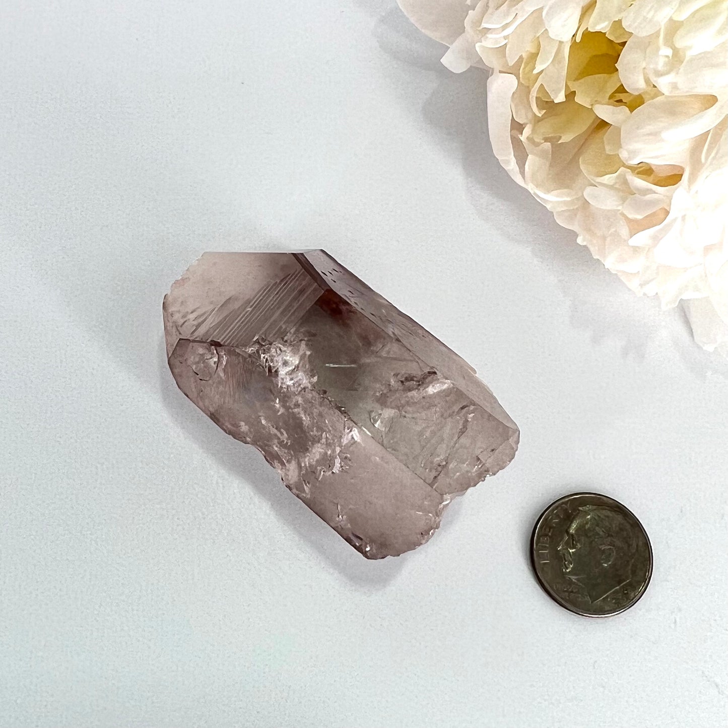 Starbrary // Quartz // Rough Point