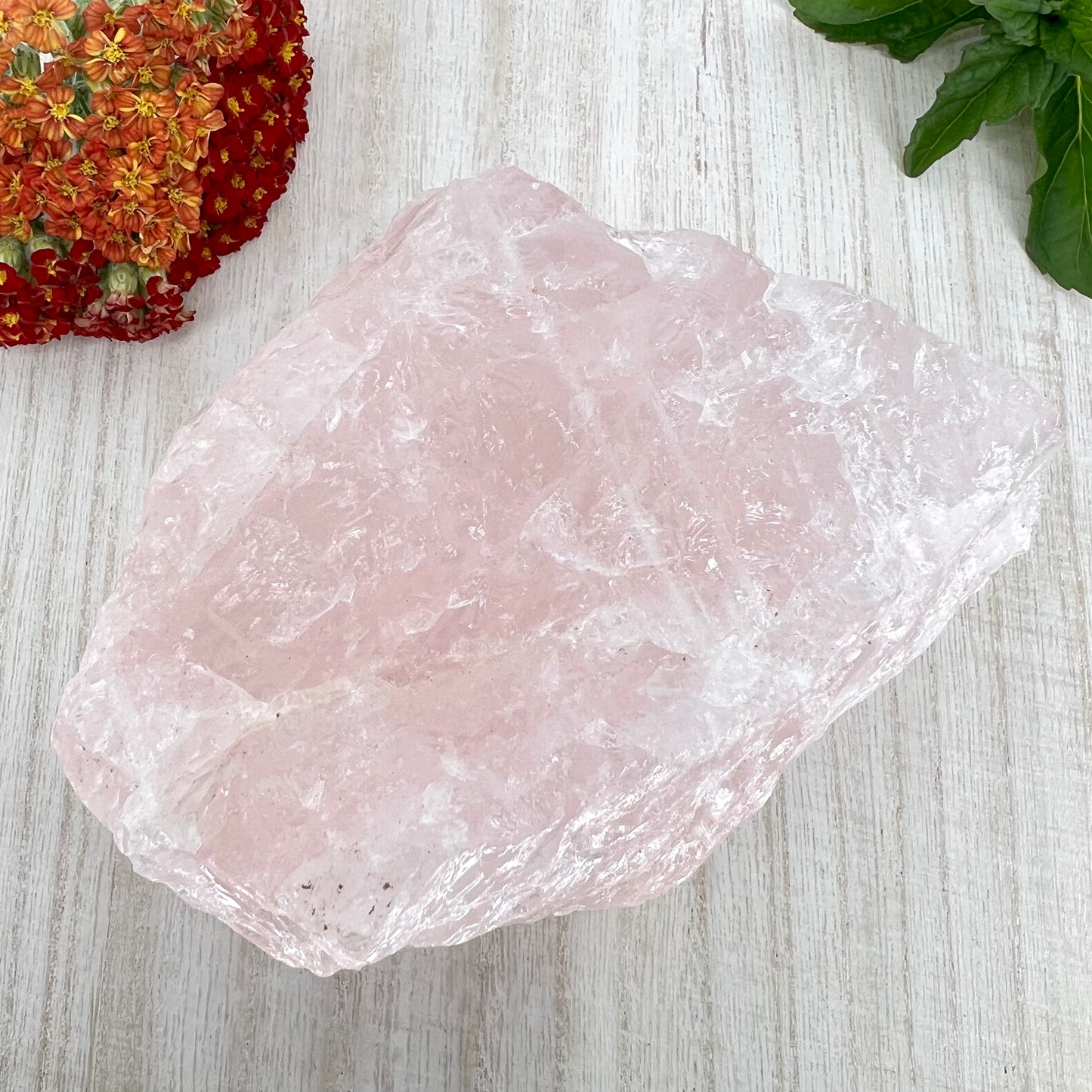 Rose Quartz // Rough // Natural // Mineral