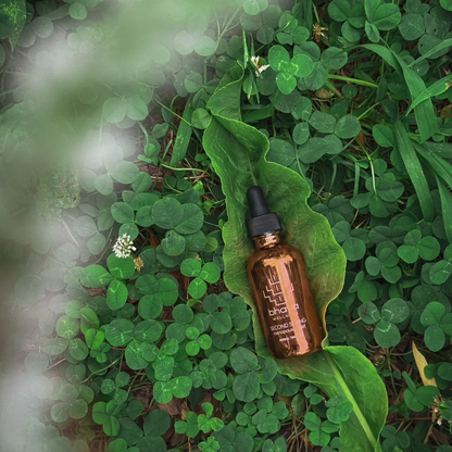 Bhava // Perimenopause + Menopause Relief // Herbal Tincture