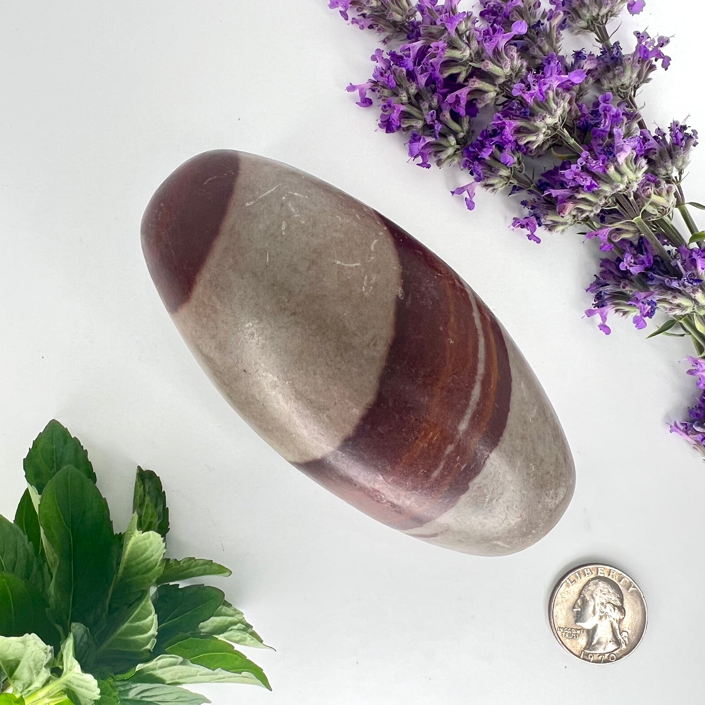 Shiva Lingam // Natural Mineral // Shape