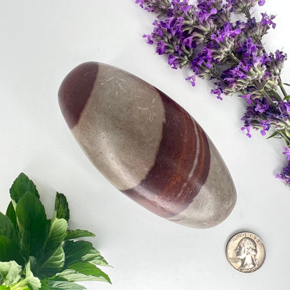 Shiva Lingam // Natural Mineral // Shape