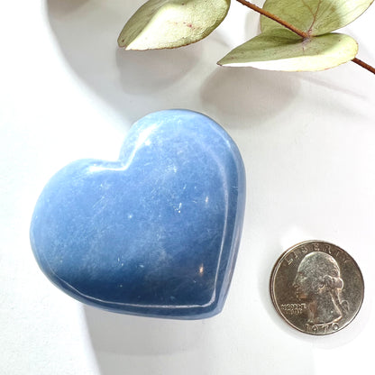 Angelite // Heart // Shape