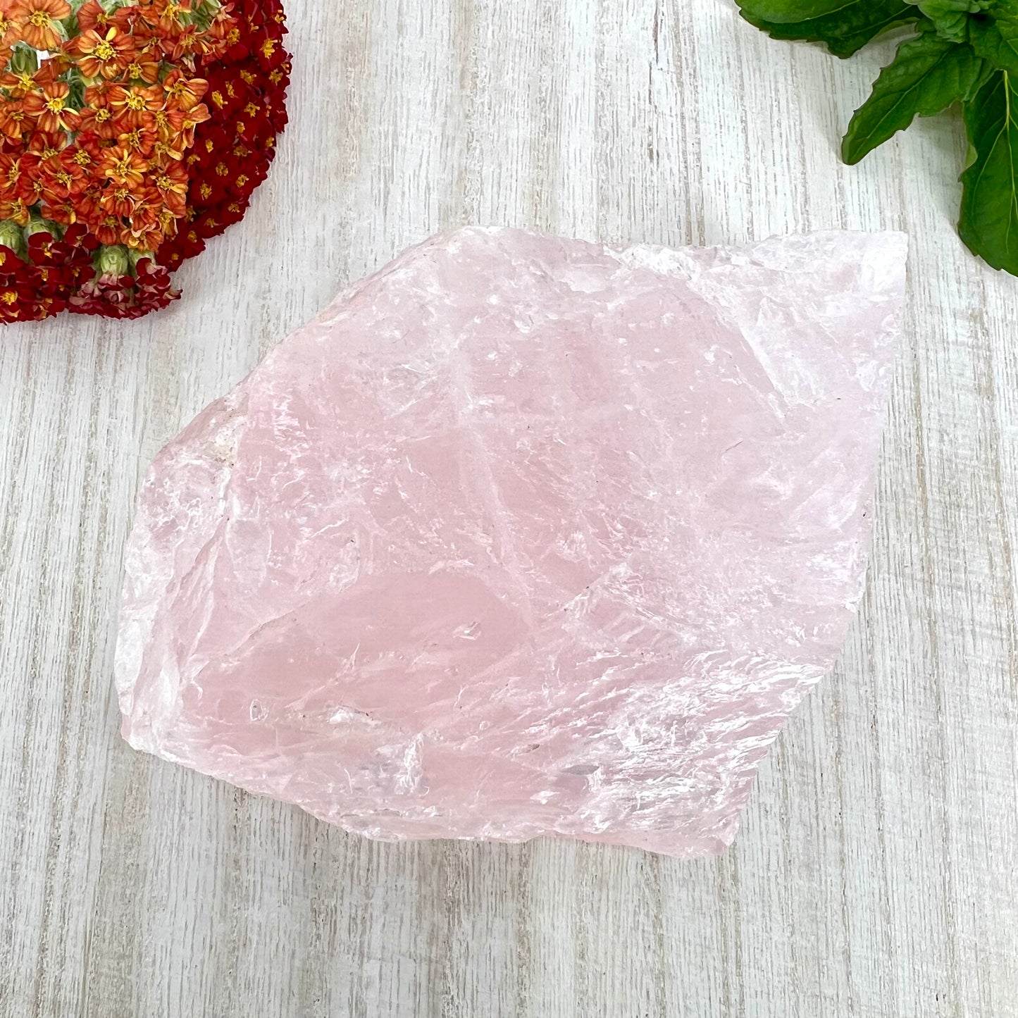 Rose Quartz // Rough // Natural // Mineral