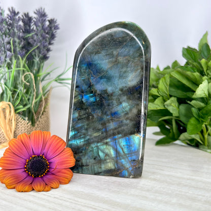 Labradorite // Free Form