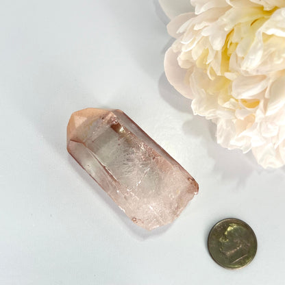 Starbrary // Quartz // Rough Point