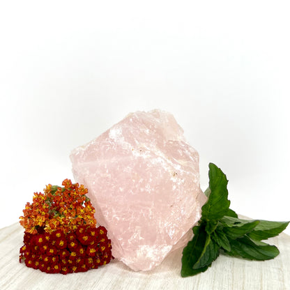 Rose Quartz // Rough // Natural // Mineral