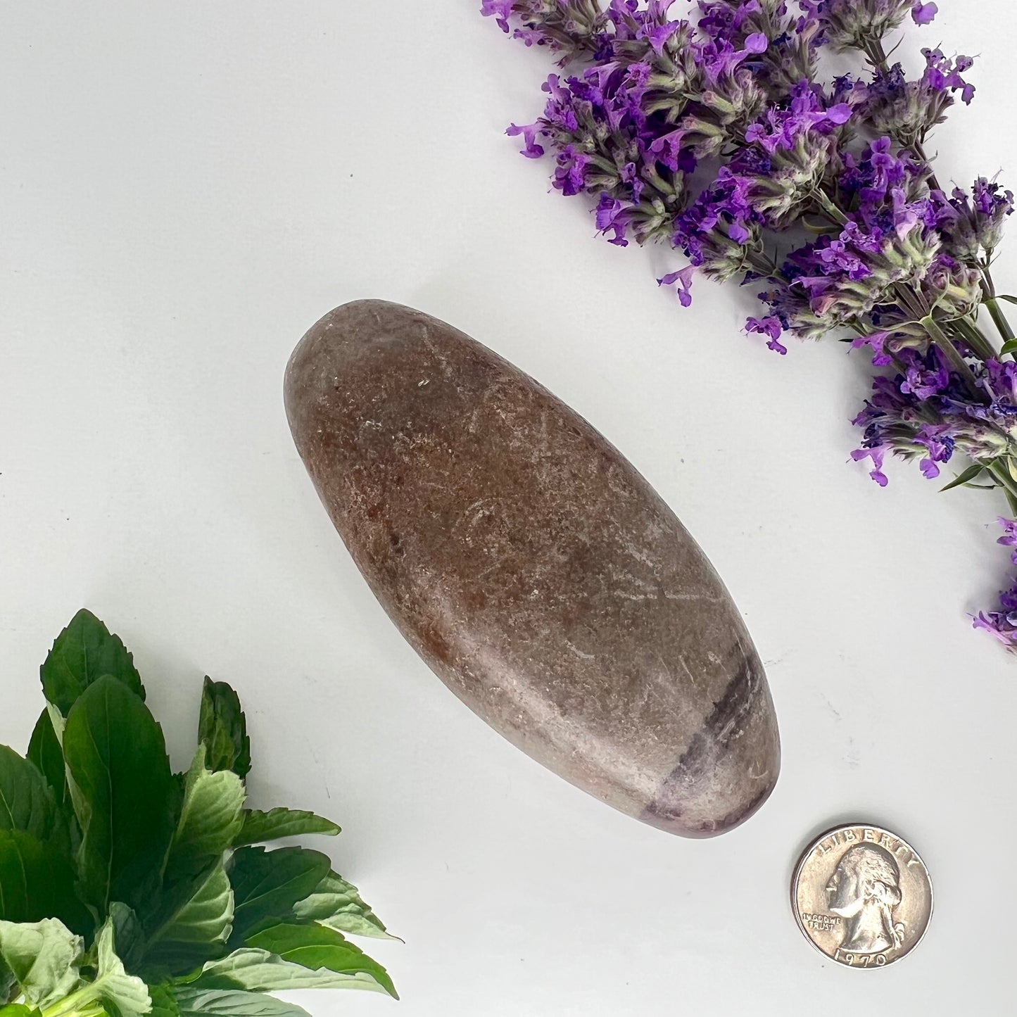 Shiva Lingam // Natural Mineral // Shape