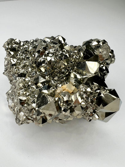 Pyrite // Cluster