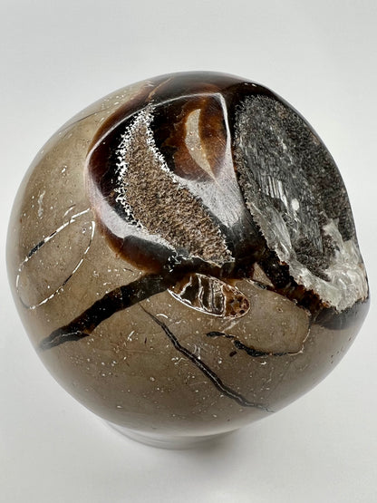 Septarian // Dragon // Sphere