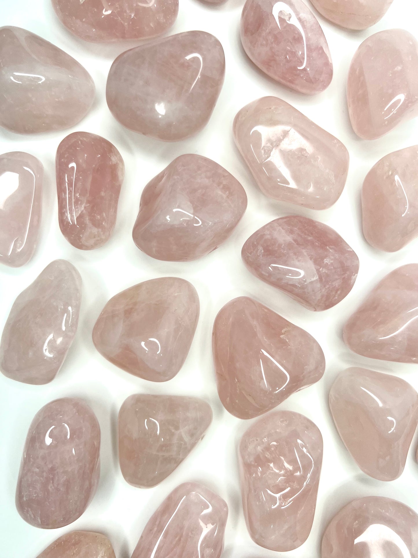 Rose Quartz // Large // Tumbled